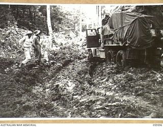 LANGEMAK AREA, NEW GUINEA, 1943-11-01. TROOPS OF THE 870TH UNITED STATES ENGINEER AVIATION BATTALION WORKING ON THE CONSTRUCTION OF A ROAD TO THE NEW AERODROME IN THE DREGER HARBOUR AREA. ENGINEERS ..