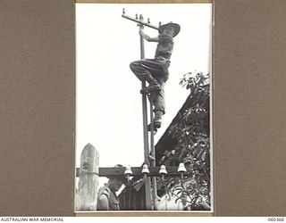 SOGERI, NEW GUINEA. 1943-11-20. STUDENTS OF THE SCHOOL OF SIGNALS, NEW GUINEA FORCE BUILDING UP A MULTI-AIRLINE ROUTE DURING A TRAINING EXERCISE. THEY ARE: NX66084 SIGNALMAN A. J. HILL (1), 19TH ..