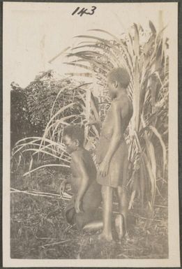 Girl cutting another girl's hair, New Britain Island, Papua New Guinea, probably 1916