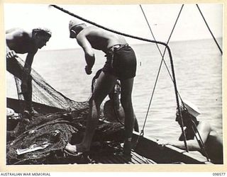 BESAMI BEACH, SALAMAUA AREA, NEW GUINEA. 1945-10-25. MEMBERS OF 2 MARINE FOOD SUPPLY PLATOON LOWERING THE FISH NET FROM THEIR 40-FOOT BOAT TO THE NETTING DINGHY. THE UNIT PROVIDES FISH FOR THE ..