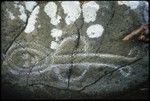 Rock drawing