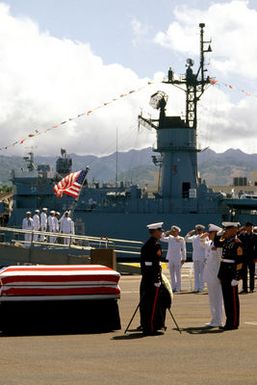 General (GEN) Jerome F. O'Malley, Commander in CHIEF, Pacific Air Force, and Sergeant Major (SGM) Allan J. Kellogg Jr., recipient of the Medal of Honor for Service in Vietnam, render a salute during the designation and departure ceremony for the Unknown Serviceman of the Vietnam Era