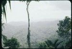 Canopy landscape