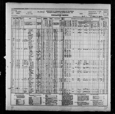 1940 Census Population Schedules - Hawaii - Honolulu County - ED 2-173