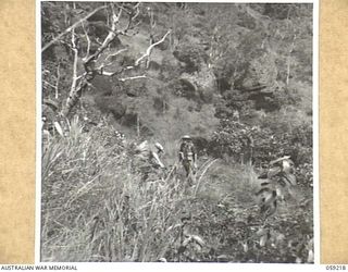 LALOKI VALLEY, NEW GUINEA, 1943-11-05. A PATROL OF THE NEW GUINEA FORCE TRAINING SCHOOL (JUNGLE WING) SCRAMBLE DOWN THROUGH ROUGH COUNTRY NEAR THE ROUNA FALLS