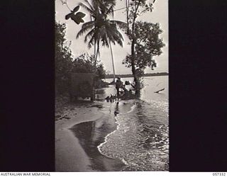 GARARA, NEW GUINEA. 1943-09-29. NO. 3 OBSERVATION POST OF THE 19TH BATTALION, 3 MILES SOUTH-EAST OF GONA