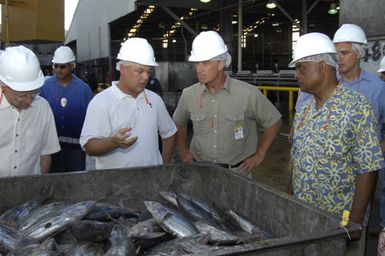 [Assignment: 48-DPA-SOI_K_Amer_Sam] Pacific Islands Tour: Visit of Secretary Dirk Kemmpthorne [and aides] to American Samoa, U.S. Territory [48-DPA-SOI_K_Amer_Sam__DI15355.JPG]