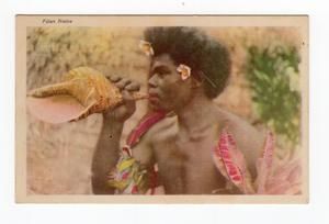 Fijian Native