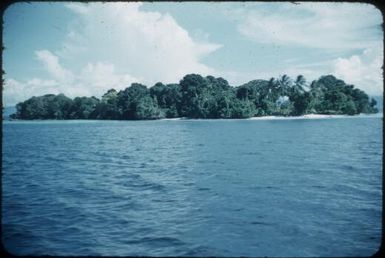 Looking towards Rogeia Island, close up view, Milne Bay : Samarai, D'Entrecasteaux Islands, Papua New Guinea, June 1956 / Terence and Margaret Spencer