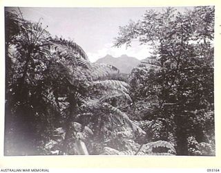 MOROKAIMORO, BOUGAINVILLE, 1945-06-12. THE SCENIC VIEW LOOKING NORTH EAST, SHOWING THE SOUTHERN END OF THE CROWN PRINCE RANGE IN THE BACKGROUND. TROOPS OF 2/8 COMMANDO SQUADRON, OPERATE FROM THIS ..