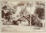 Native Hut, Rarotonga