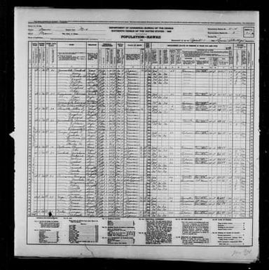 1940 Census Population Schedules - Hawaii - Maui County - ED 5-15