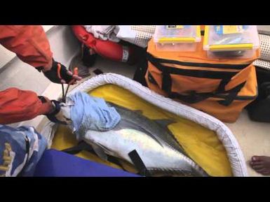 New training video on sport fishing and catch handling