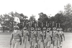 Marching Troops, 1975 August 8