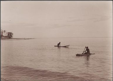 Two boys on surfboards at Guadalcanar, Solomon Islands, 1906 / J.W. Beattie
