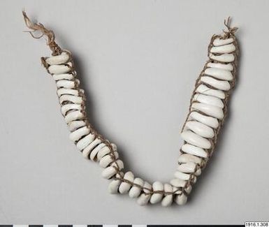 necklace, jewellery, necklace, jewellery