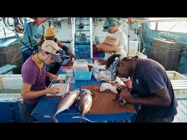 4-Year Project to Boost “Climate Science for Ensuring Pacific Tuna Access” to end in March 2026