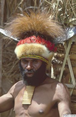 ["skägg, porträtt, huvudbonad, man, fotografi, photograph"]