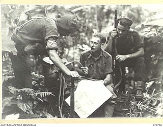 KARKAR ISLAND, NEW GUINEA. 1944-06-03. VX84603 SERGEANT B. OSBORNE (1), QX6239 MAJOR E.G. GREEN (2), AND VX143907 PRIVATE R.J. NEWMAN (3), MEMBERS OF THE 37/52ND INFANTRY BATTALION CONFER BEFORE ..