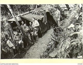 1943-08-04. NEW GUINEA. MAKING THE BEST OF NOT ALTOGETHER IDEAL CONDITIONS AUSTRALIANS BUILT THIS CAMP IN THE JUNGLE ON A HILLSIDE NEAR MUBO. (NEGATIVE BY G. SHORT)