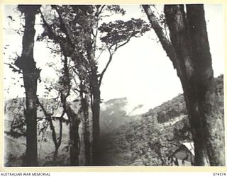 NEW GUINEA. 1944-07-09. THE RUGGED MOUNTAIN SKYLINE FROM SECOMBE CAMP ON THE WAU-BULLDOG ROAD