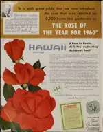 The parade of modern roses and perennials : spring 1960, Hawaii