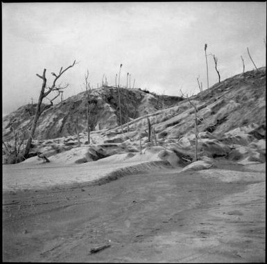 Hills covered in pumice and ash and leafless trees, Rabaul, New Guinea, 1937 / Sarah Chinnery