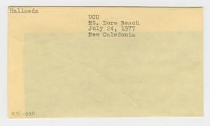 [Halimeda in New Caledonia, envelope IE41-080]
