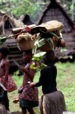 ["fotografi, photograph"]