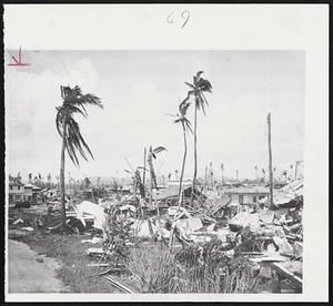 Palm Trees were about the only objects on the Pacific Island of Guam which bowed before Typhoon Karen without submitting to her 172 mph winds. The tall trees continue to sway gently in slight breezes, while all beneath them is wreckage and disaster.