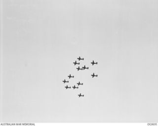 NADZAB, NEW GUINEA. C. 1944-02. VULTEE VENGEANCE DIVE BOMBER AIRCRAFT OF NO. 24 SQUADRON RAAF FLYING IN FORMATION AFTER TAKE OFF, ON A MISSION TO DIVE BOMB THE JAPANESE-HELD AIRSTRIP AT MADANG ON ..