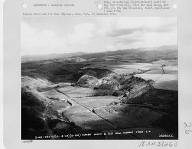 Hawaii - Kipapa Gulch