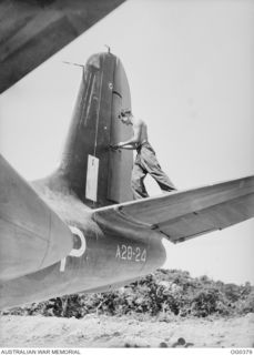 KIRIWINA, TROBRIAND ISLANDS, PAPUA. C. 1943-12. LEADING AIRCRAFTMAN L. R. BARSBY OF SINGLETON, NSW, IS DWARFED BY THE RUDDER OF THE BOSTON AIRCRAFT, CODED DU-P, RAAF SERIAL NO. A28-24, OF NO. 22 ..