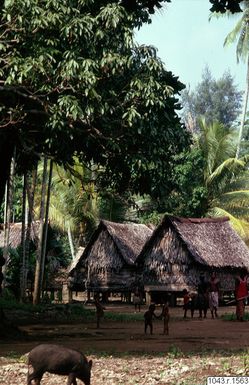 ["fotografi, photograph"]