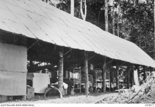 REINHOLD HIGHWAY, NEW GUINEA. 1943-07-08. NEWLY CONSTRUCTED TWENTY FIVE BED HOSPITAL OF THE 46TH AUSTRALIAN CAMP HOSPITAL DETACHMENT, THREE MILES FROM BULLDOG BASE