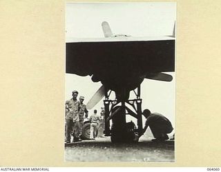 DREGER, FINSCHHAFEN AREA, NEW GUINEA. 1944-01-19. 0729271 FIRST LIEUTENANT J.G. TULEY OF THE UNITED STATES AIR FORCE, EXAMINING THE UNDERCARRIAGE OF HIS DOUGLAS AIRCRAFT AFTER HIS PORT TYRE BLEW ..