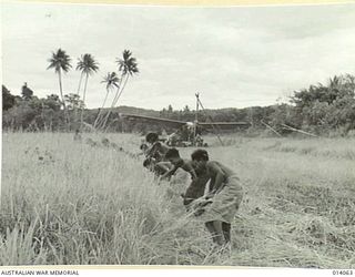 1943-01-11. SALVAGING AEROPLANES IN NEW GUINEA. LITTLE IS HEARD OF THE GROUND STAFF OF THE RAAF - THE MEN WHO WORK ALL HOURS AND UNDER ALL CONDITIONS, KEEPING OUR PLANES IN THE AIR, AND STILL LESS ..