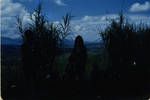 Eastern Highlands, [Papua New Guinea], 1958