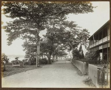 Road and buildings. From the album: Samoa