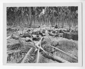 [Japanese Gas Drums Hit By Shells on Guadalcanal]