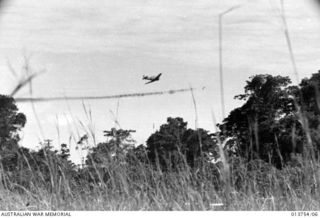 1942-12-08. NEW GUINEA. GONA. ALLIED PLANES SOAR IN AT LOW LEVEL TO MACHINE-GUN JAPANESE SNIPERS OUTSIDE GONA