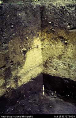 SAC/I profile, North West corner