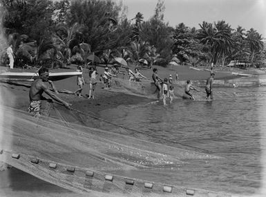 [Pacific Island people fishing with net on beach]