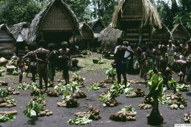 ["fotografi, photograph"]