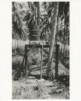 [Field shower at VMF-214 camp, Guadalcanal]