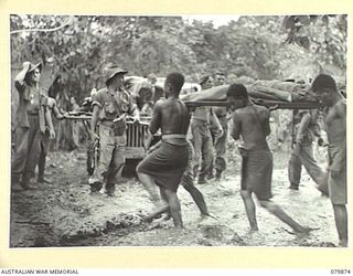 WAITAVALO AREA, WIDE BAY, NEW BRITAIN. 1945-03-16. AUSTRALIAN NEW GUINEA ADMINISTRATIVE UNIT NATIVES BRINGING WOUNDED OF HEADQUARTERS 6TH INFANTRY BRIGADE FROM THE RIDGES BEHIND WAITAVALO AND TOL ..