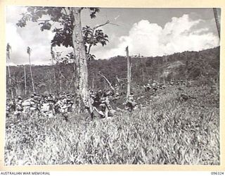 MALAGUNA MISSION, NEW BRITAIN. 1945-09-10. TROOPS OF 29/46 INFANTRY BATTALION, 4 INFANTRY BRIGADE MOVING THROUGH THE JUNGLE FROM THE BEACH ONTO THE ROAD WHICH LEADS INTO RABAUL. TROOPS OF 4 ..
