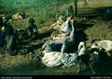 Laying on the ground