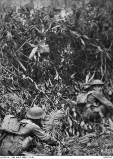 NEW GUINEA. 1943-11-27. AUSTRALIAN TROOPS IN THE JUNGLE MOVED IN BEHIND MATILDA TANKS FOR A DAWN ATTACK ON THE JAPANESE HELD VILLAGE OF SATTELBERG. N.B. THIS PICTURE WAS TAKEN DURING THE ACTUAL ..