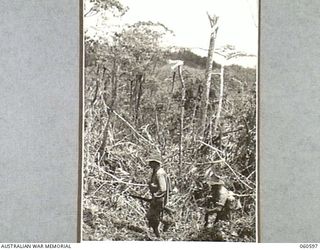 SATTELBERG AREA, NEW GUINEA. 1943-11-17. A PATROL OF THE 2/48TH AUSTRALIAN INFANTRY BATTALION MOVING UP A STEEP HILL IN A BATTLE SCARRED AREA